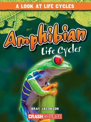 cover image of Amphibian Life Cycles
